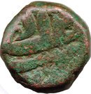Dam - Akbar (Bairata mint)