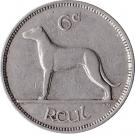6 Pingin / 1 Reul