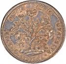 1 Pezza Della Rosa - Cosimo III