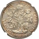 1 Pezza Della Rosa - Cosimo III