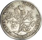 1 Pezza della Rosa - Cosimo III
